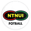 NTNUI logo