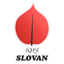 ND Slovan Ljubljana logo