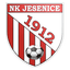 NK Jesenice logo