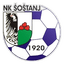 NK Šoštanj logo