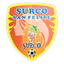 Club Deportivo San Felipe Volante logo
