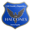 Club Social y Deportivo Los Halcones logo