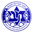 Sha'araim