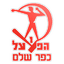 Hapoel Kfar-Shalem logo