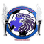 Duhaney Park FC logo