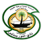 Al-Noor Football Club logo