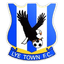 Lye Town logo