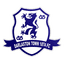 Darlaston Town (1874) logo
