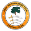 Ashford Town logo