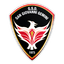 Gemini Calcio logo