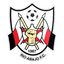 Río Abajo Fútbol Club logo