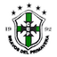 Bravos del Primavera logo