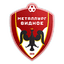 Metallurg Vidnoe logo