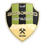 Meshakhte Tkibuli logo