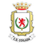 Coslada logo