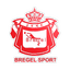 Bregel Sport logo