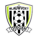 Blauwvoet Otegem