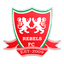 Rebels (VGB) logo