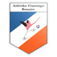 Atlétiko Flamingo logo