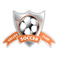Valley Soccer Academy
