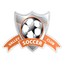 Valley Soccer Academy logo