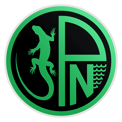 Nuova Pordenone 2024