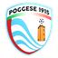 Poggese X Ray One logo