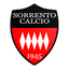 Sorrento Calcio 1945 logo