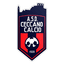 Ceccano Calcio 1920 logo