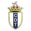 CD Torrão logo