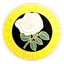 Stanway Rovers logo