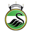 Newport Pagnell Town logo