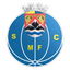 Mesão Frio logo