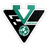 FC Vilarinho