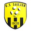 Union Sportive Saujon Football logo