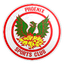 Phoenix Sports logo