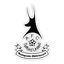 AFC Telford United logo