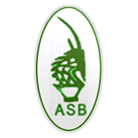 Association Sportive de Bamako