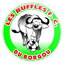 Buffles du Borgou FC logo