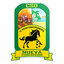 CD Nueva Concepción logo