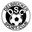 Delbrücker SC logo