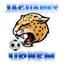 Lobos UPNFM FC logo