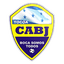 Boca Junior Honduras logo
