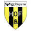 SpVgg Bayern Hof logo