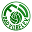 FV Bad Vilbel logo