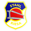 BSG Stahl Riesa logo