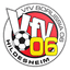 VfV Borussia 06 Hildesheim logo