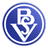 Bremer SV