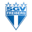 SGV Freiberg logo