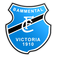 FC Victoria Bammental